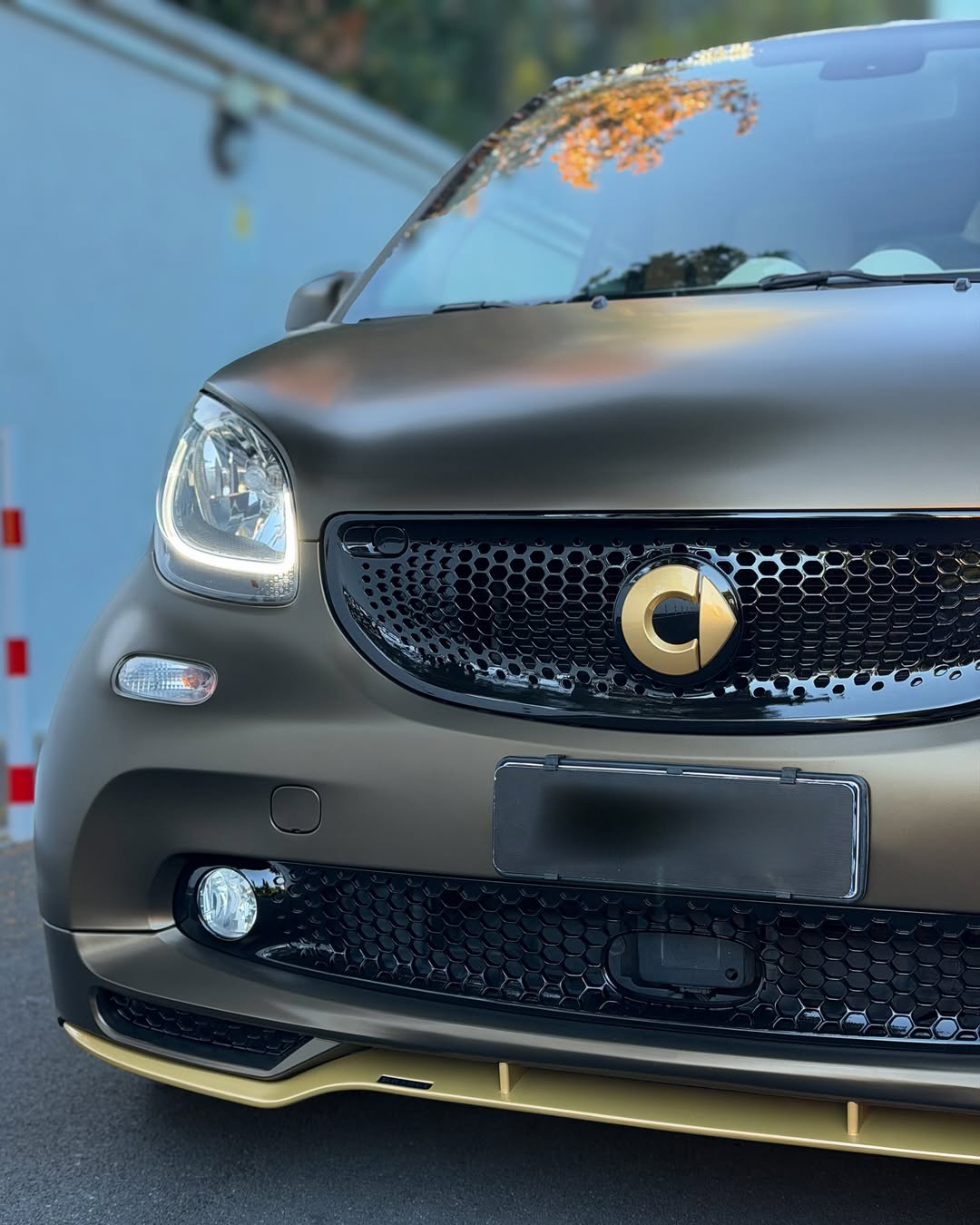 Ravoony Pro TPU Satin Gold Green Color PPF Film review Fern Gatsby 02