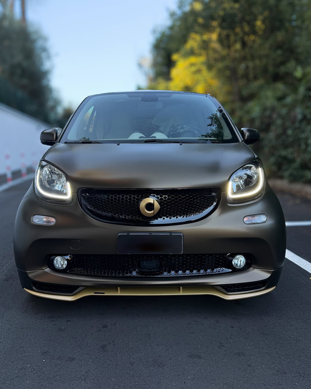 Ravoony Pro TPU Satin Gold Green Color PPF Film review Fern Gatsby 04