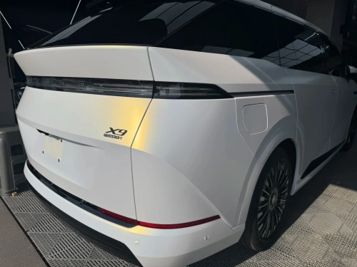    Ravoony Plus Satin Ceramic White to Gold Car Wrap review 