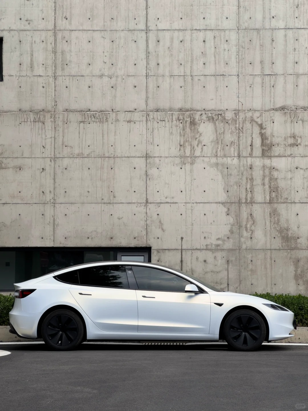    Ravoony Plus Satin Ceramic White to Gold Car Wrap review Dorian Clay