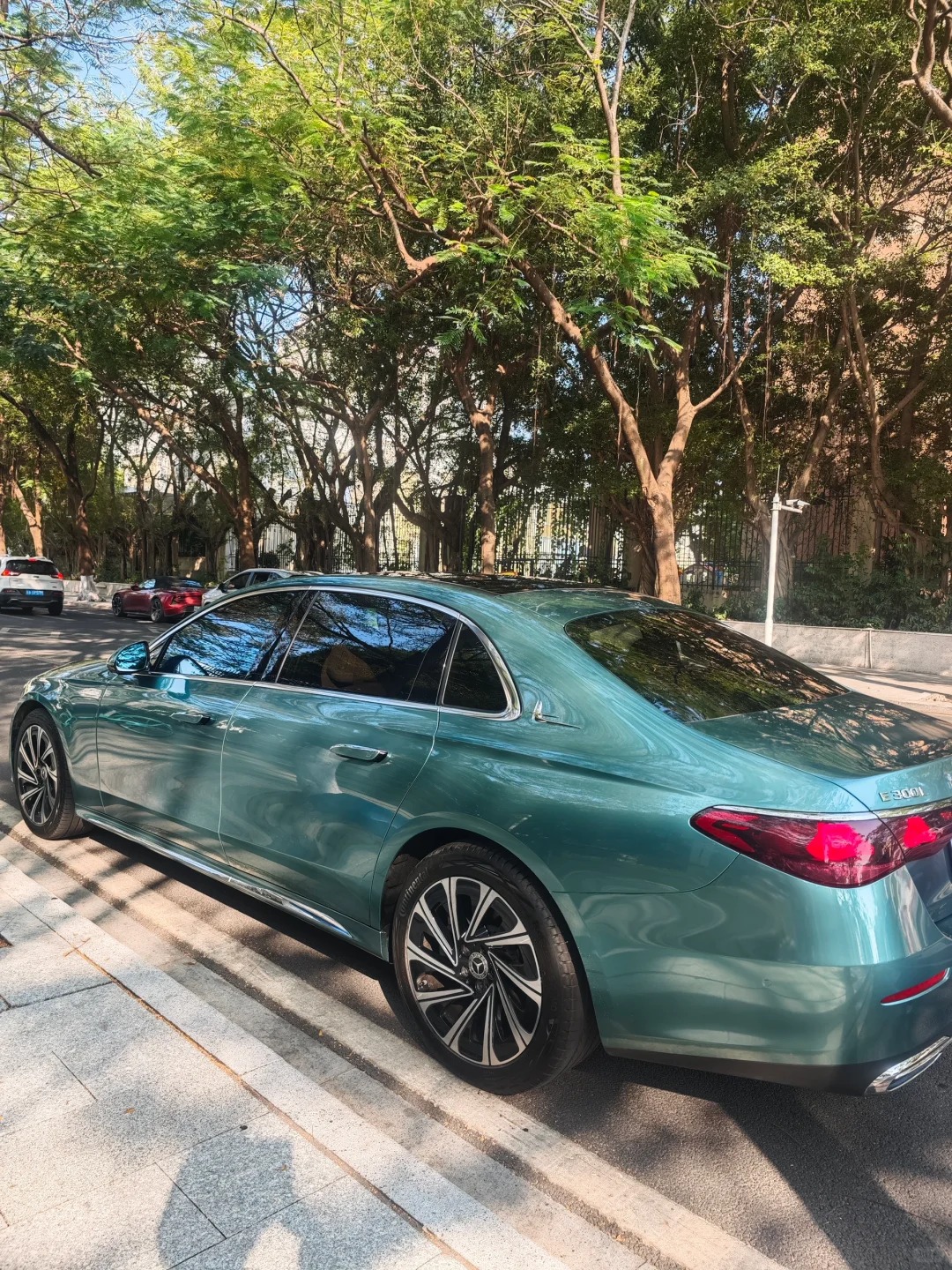 Ravoony Plus PET Gloss Metallic Ryan Green Car Wrap review Zara Finch 00