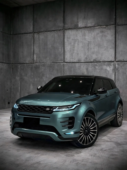 Ravoony Plus PET Gloss Metallic Ryan Green Car Wrap review 