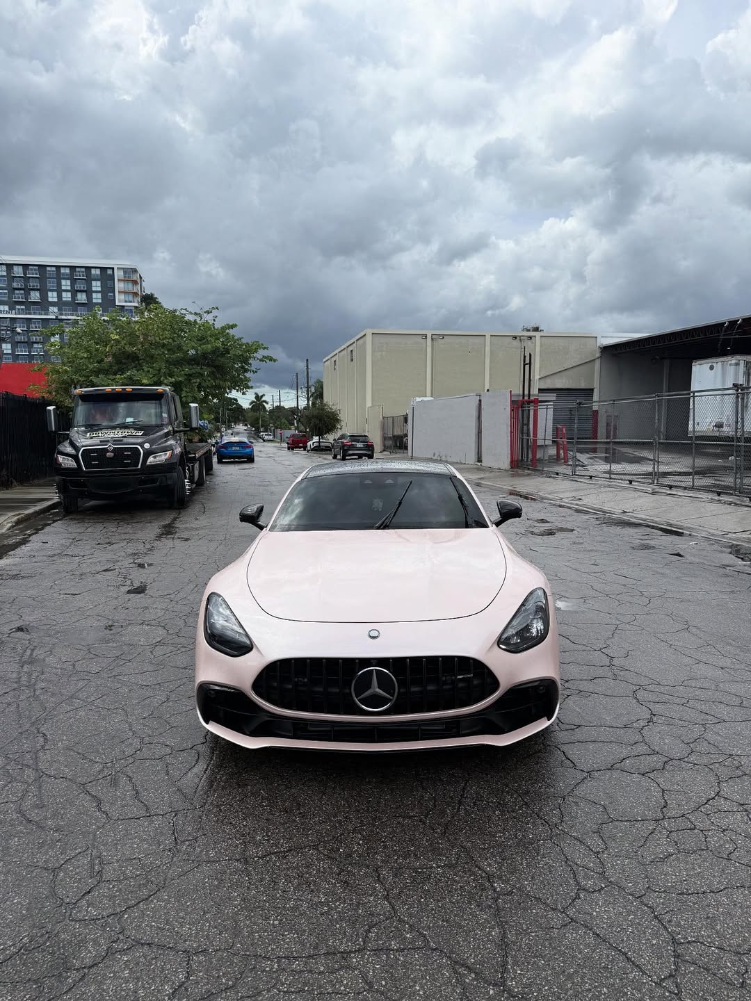 Ravoony Plus Gloss Macaron Peach Pink Vinyl Car Wrap review Leo Bloom 01