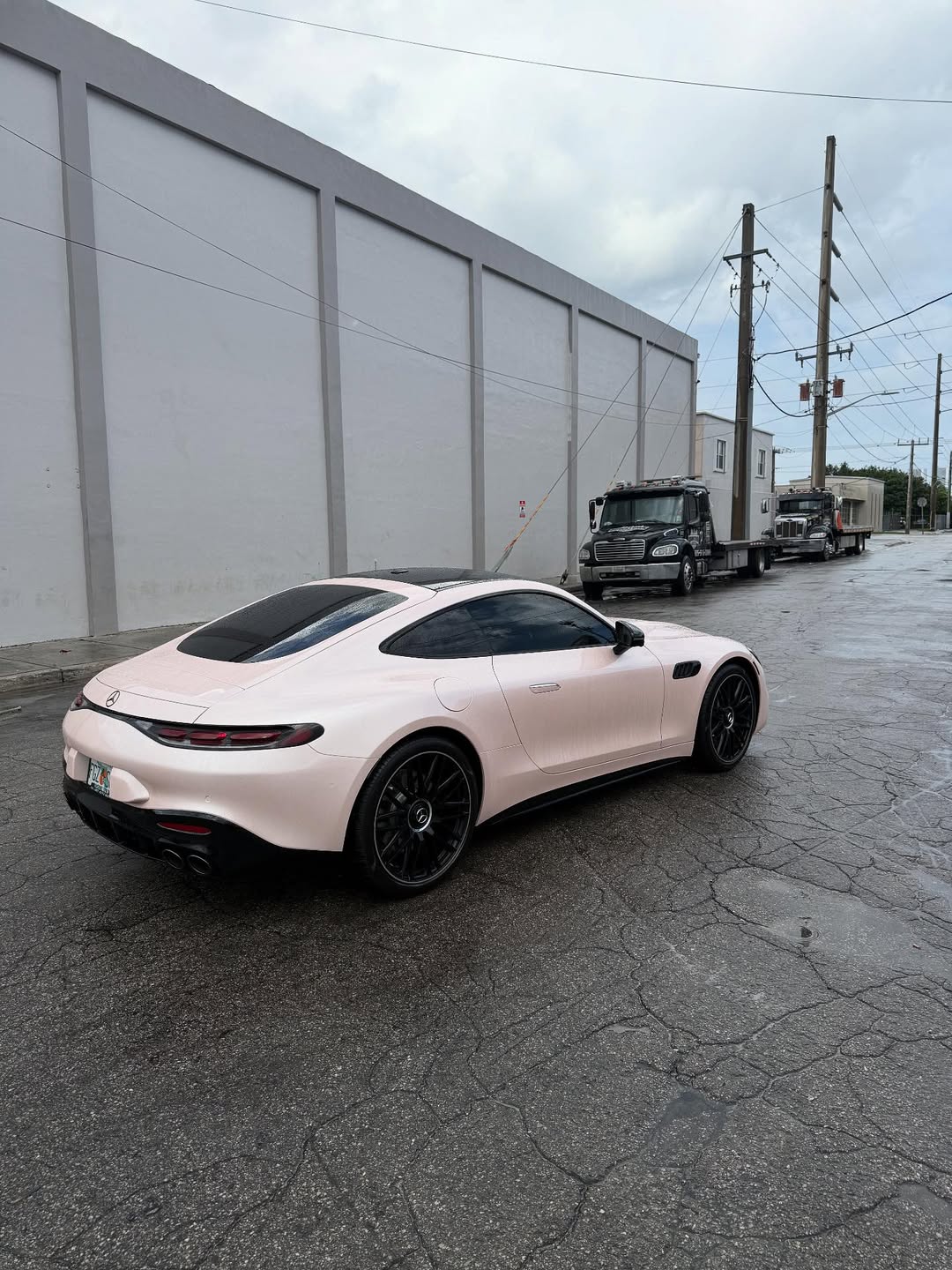 Ravoony Plus Gloss Macaron Peach Pink Vinyl Car Wrap review Leo Bloom 03