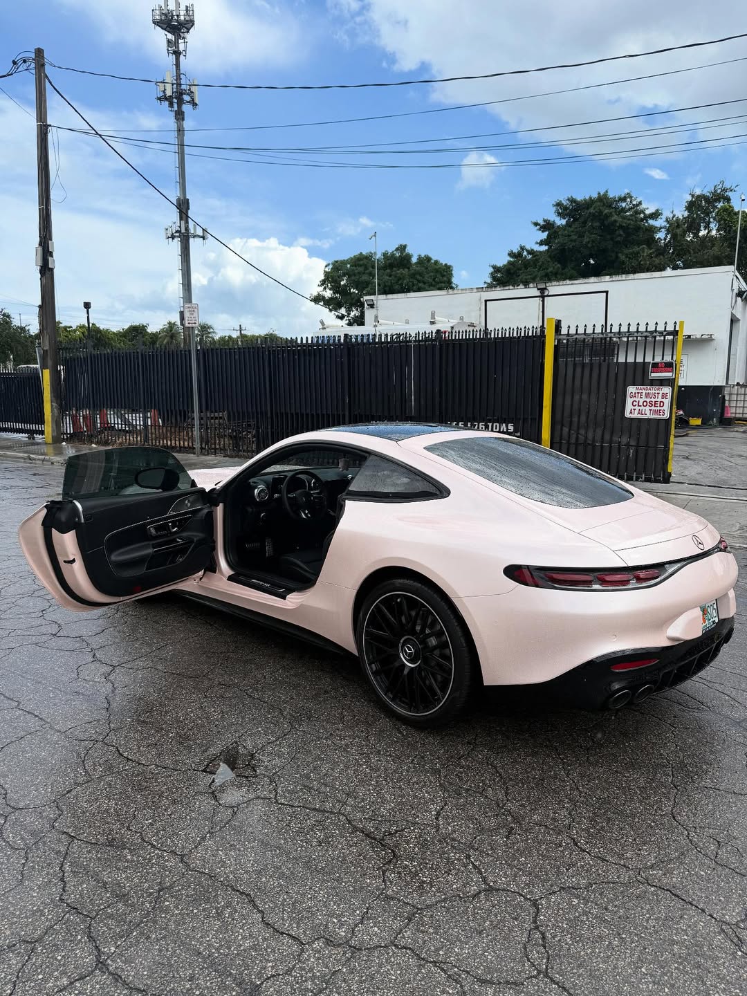 Ravoony Plus Gloss Macaron Peach Pink Vinyl Car Wrap review Leo Bloom 00