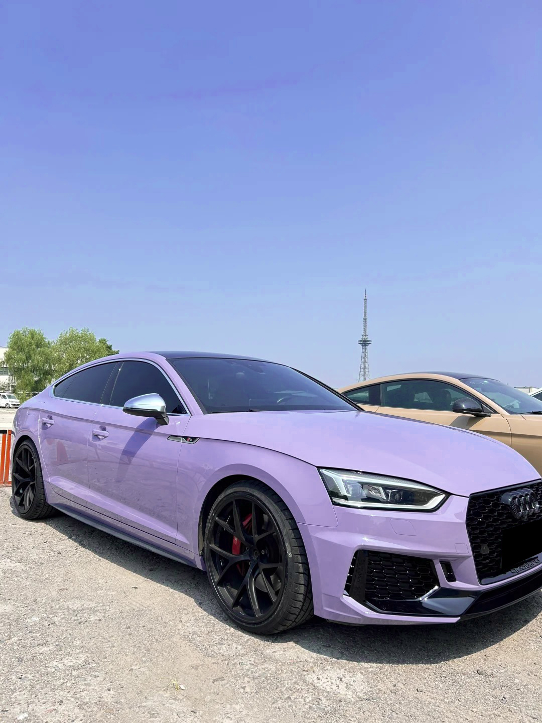 Ravoony Plus PET Gloss Victoria Purple Car Vinyl Wrap review Benjamin Taylor 00