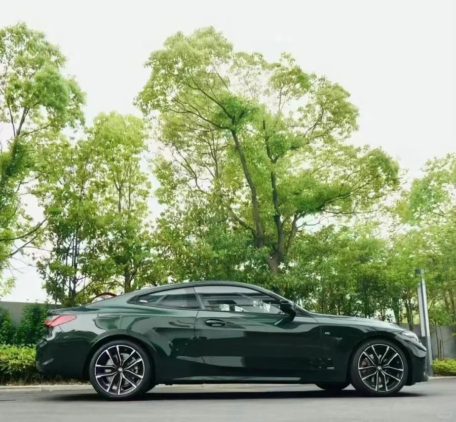 Ravoony Plus PET Blackish Green Car Vinyl Wrap review Scarlett Hayes 03