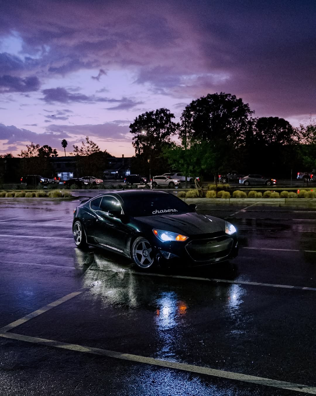 Ravoony Plus PET Blackish Green Car Vinyl Wrap review Zoe Matthews 00