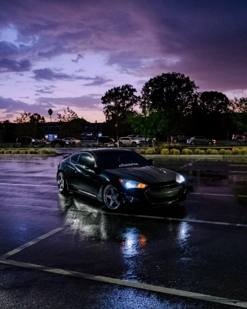 Ravoony Plus PET Blackish Green Car Vinyl Wrap review 