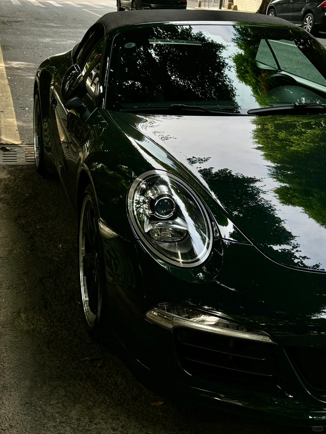 Ravoony Plus PET Blackish Green Car Vinyl Wrap review Jordan Peterson 01