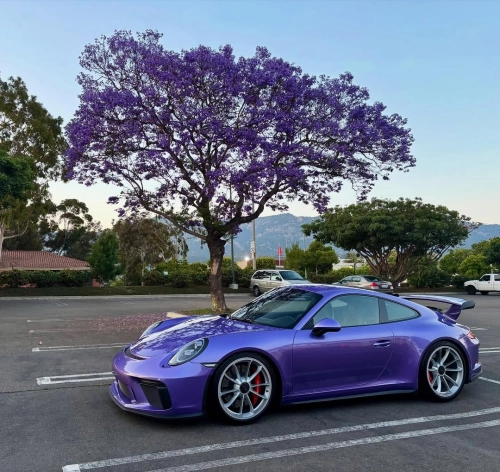 Ravoony Plus PET Gloss Liquid Metallic Viola Purple Car Wrap review 