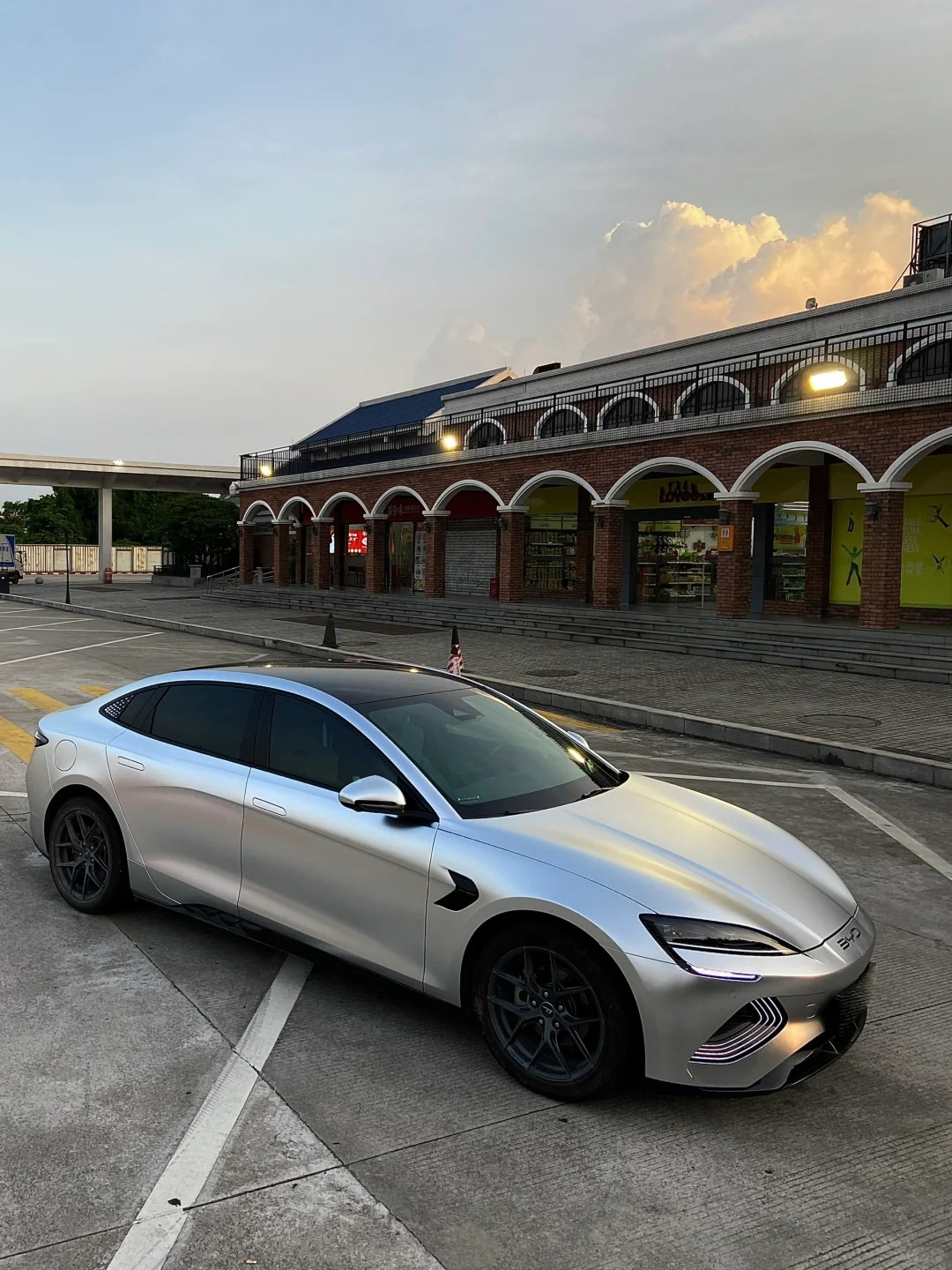 Ravoony Plus Matte Chrome Alexander Silver Metallic Vinyl Wrap review Emily Clarke 00