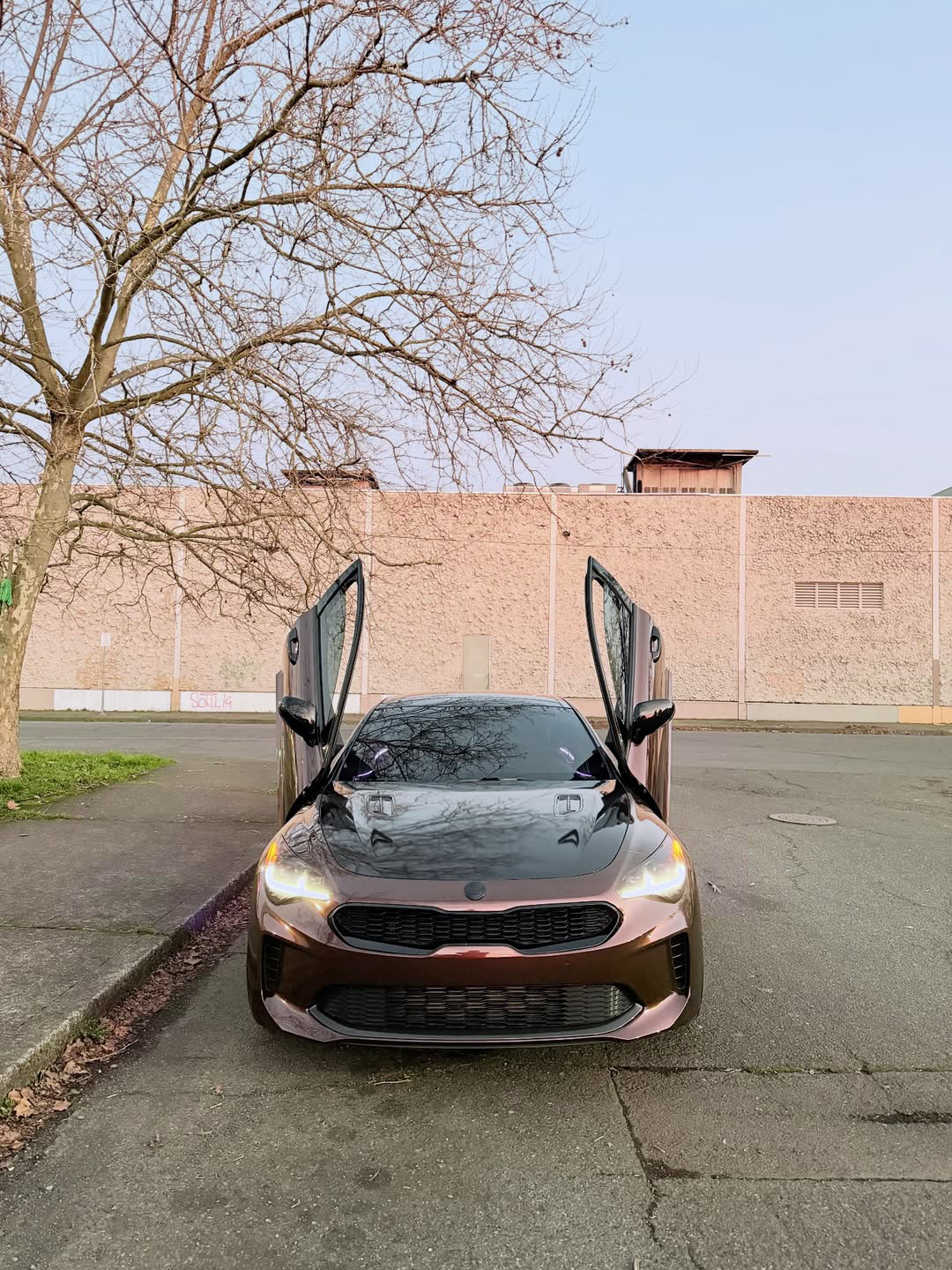 Ravoony Plus Porsche Gloss Terra Brown Vinyl Car Wrap review Ava Robinson 00