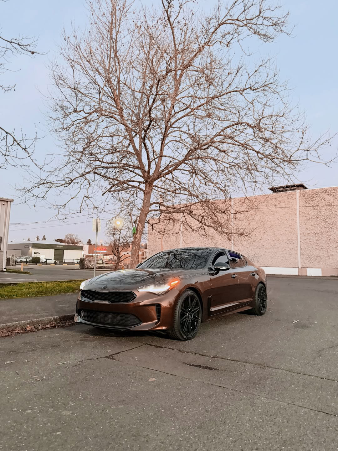 Ravoony Plus Porsche Gloss Terra Brown Vinyl Car Wrap review Ava Robinson 01