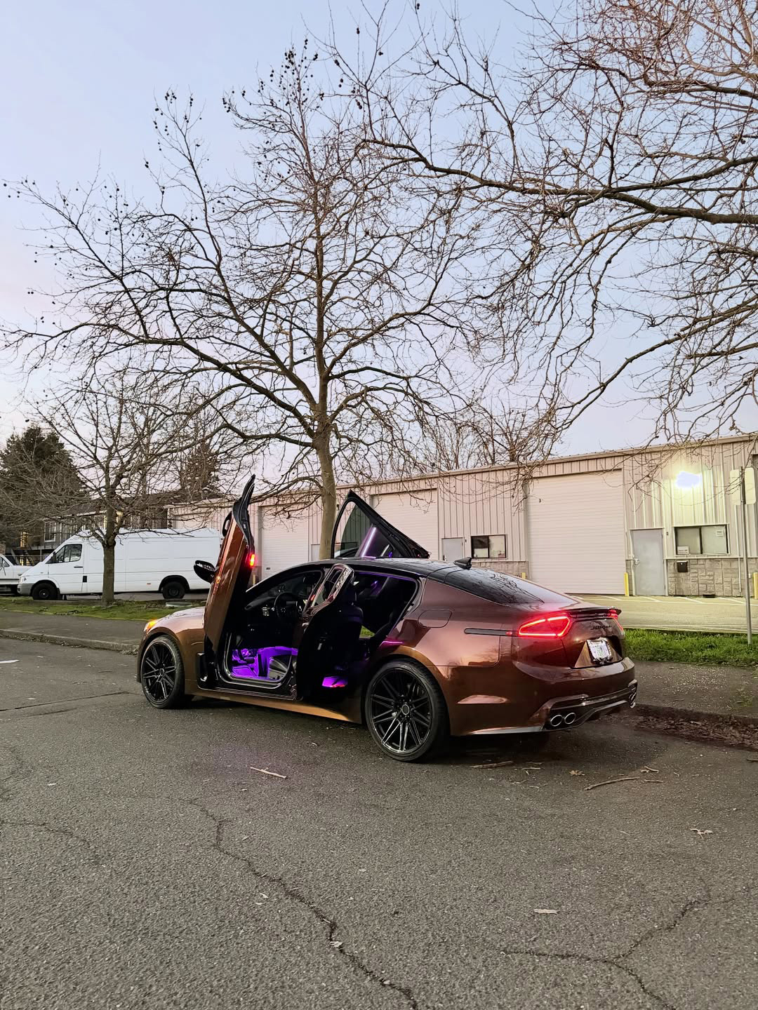 Ravoony Plus Porsche Gloss Terra Brown Vinyl Car Wrap review Ava Robinson 03