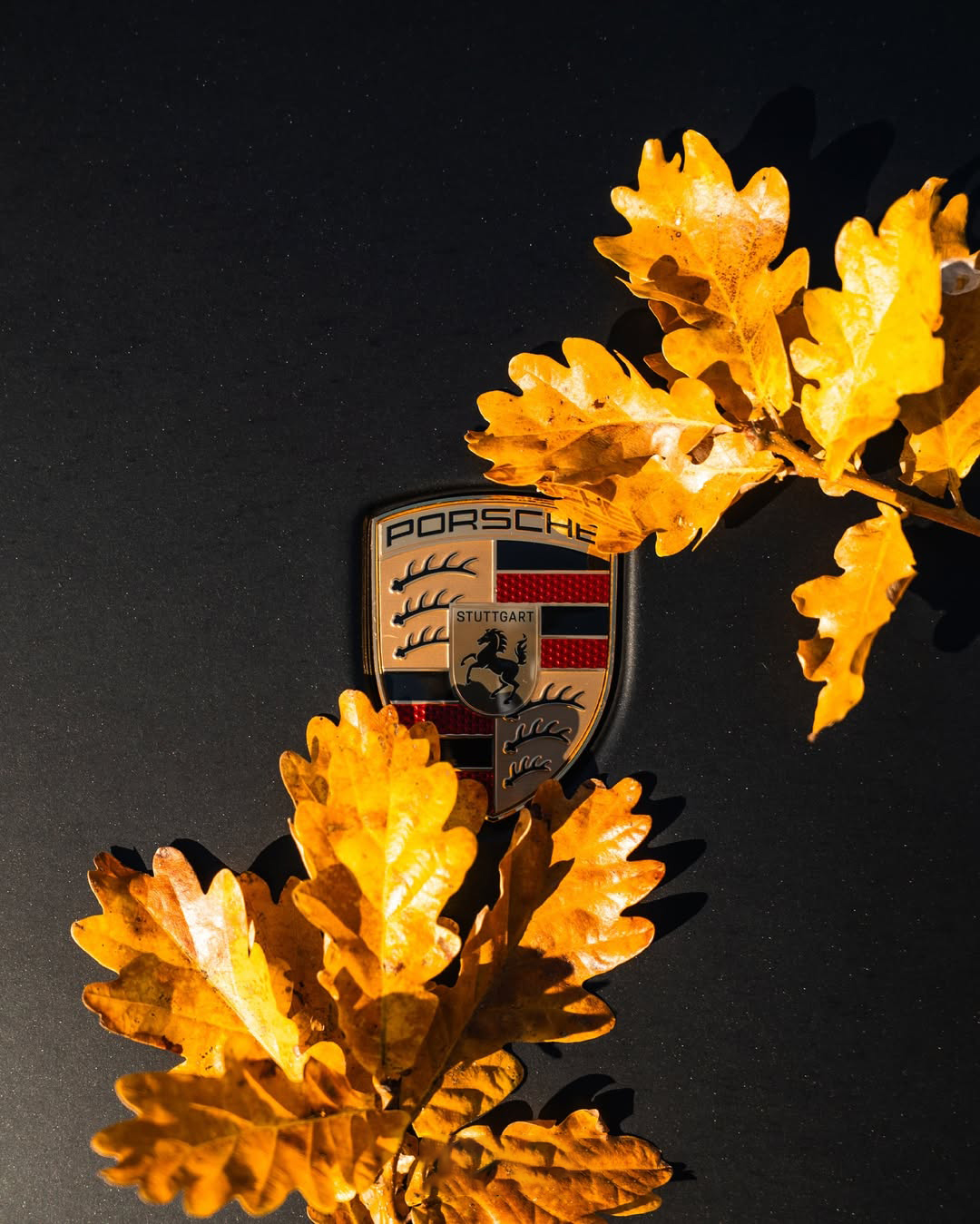 Ravoony Basic Pure Metal Black Car Vinyl Wrap review Sophia Brown 00