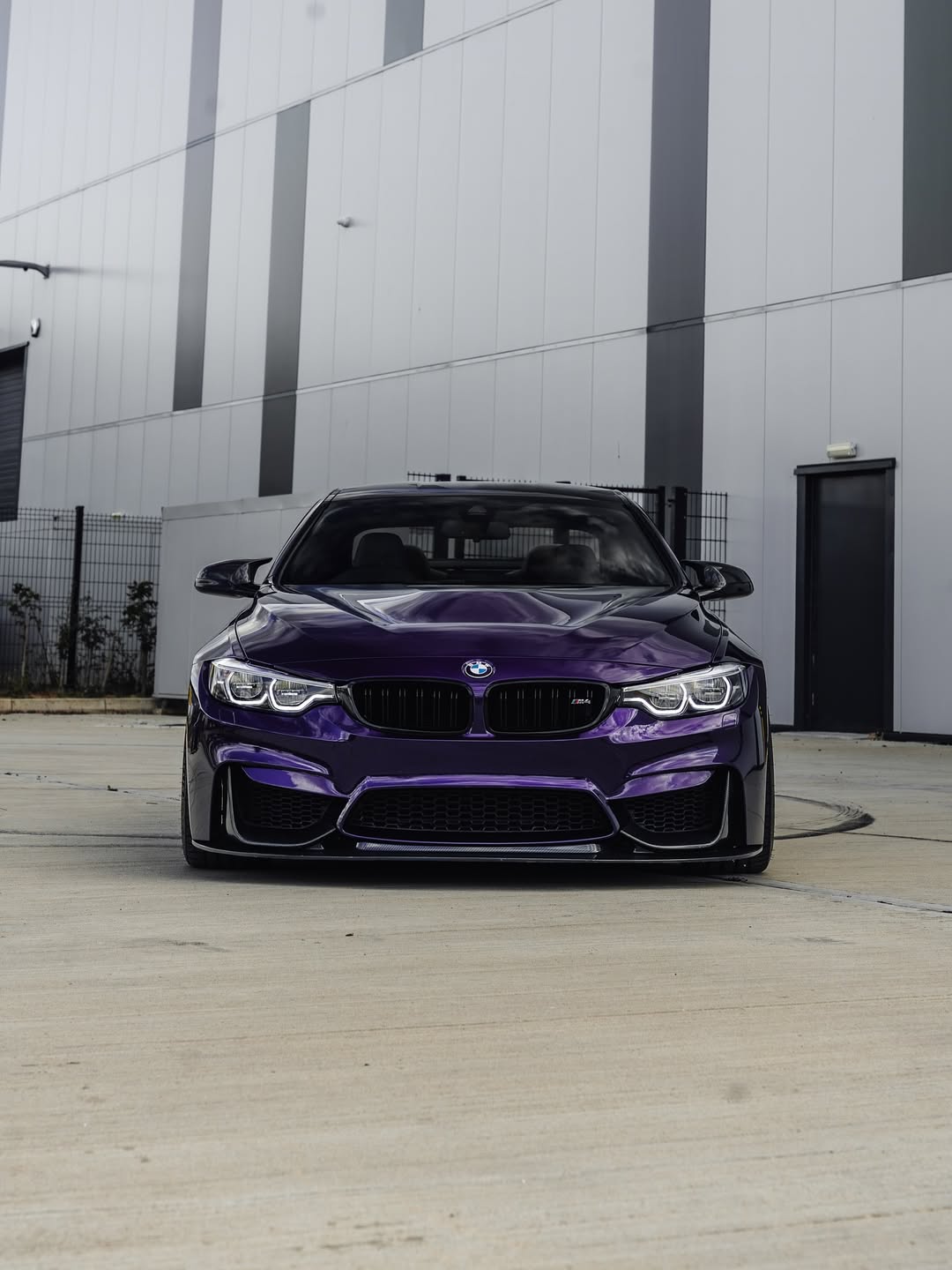 Ravoony Plus PET Gloss Ghost Midnight Purple Car Vinyl Wrap review Jake sheng 00