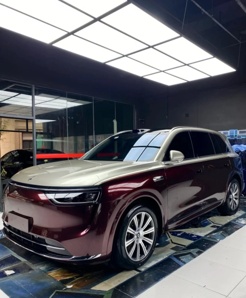 Ravoony Plus PET Gloss Black Rose Vinyl Wrap review 