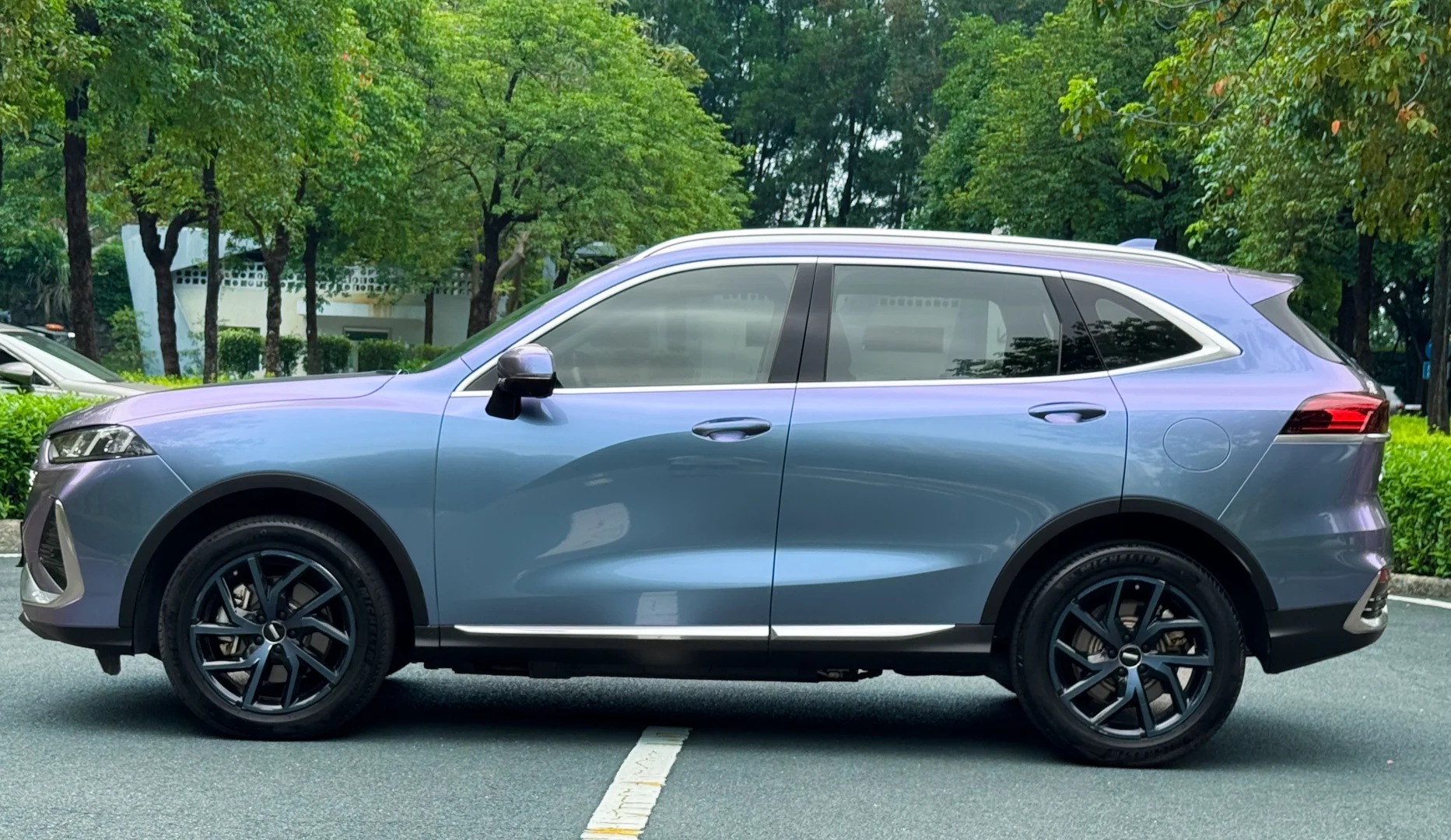 Ravoony Plus PET Glossy Metallic Crystal Grey Purple Car Wrap review Nicole Taylor 05