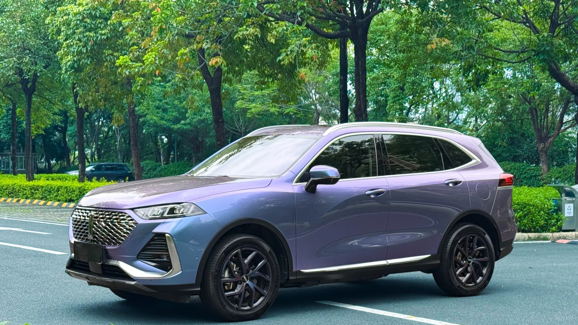 Ravoony Plus PET Glossy Metallic Crystal Grey Purple Car Wrap review Nicole Taylor 02