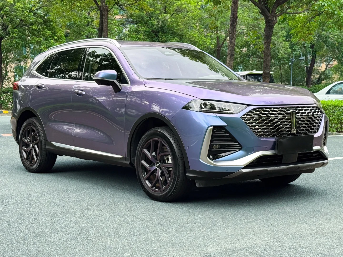 Ravoony Plus PET Glossy Metallic Crystal Grey Purple Car Wrap review Nicole Taylor 00