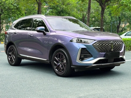 Ravoony Plus PET Glossy Metallic Crystal Grey Purple Car Wrap review 