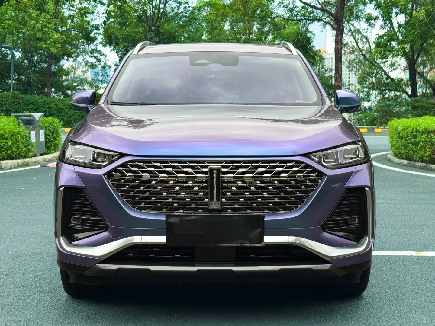 Ravoony Plus PET Glossy Metallic Crystal Grey Purple Car Wrap review Nicole Taylor 01