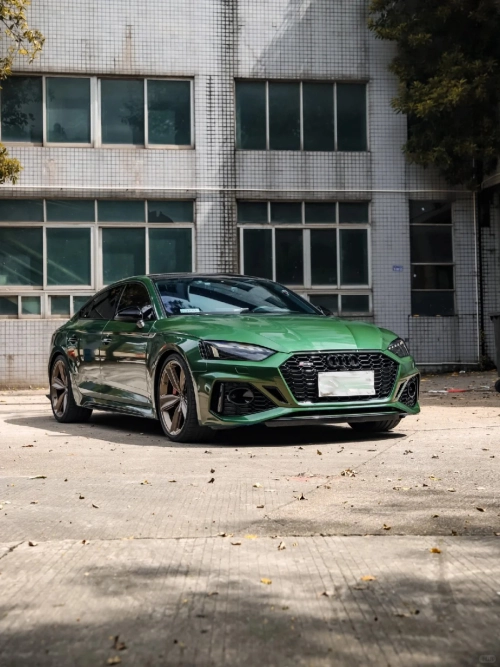 Ravoony Basic Metal Sonoma Green Car Vinyl Wrap review 