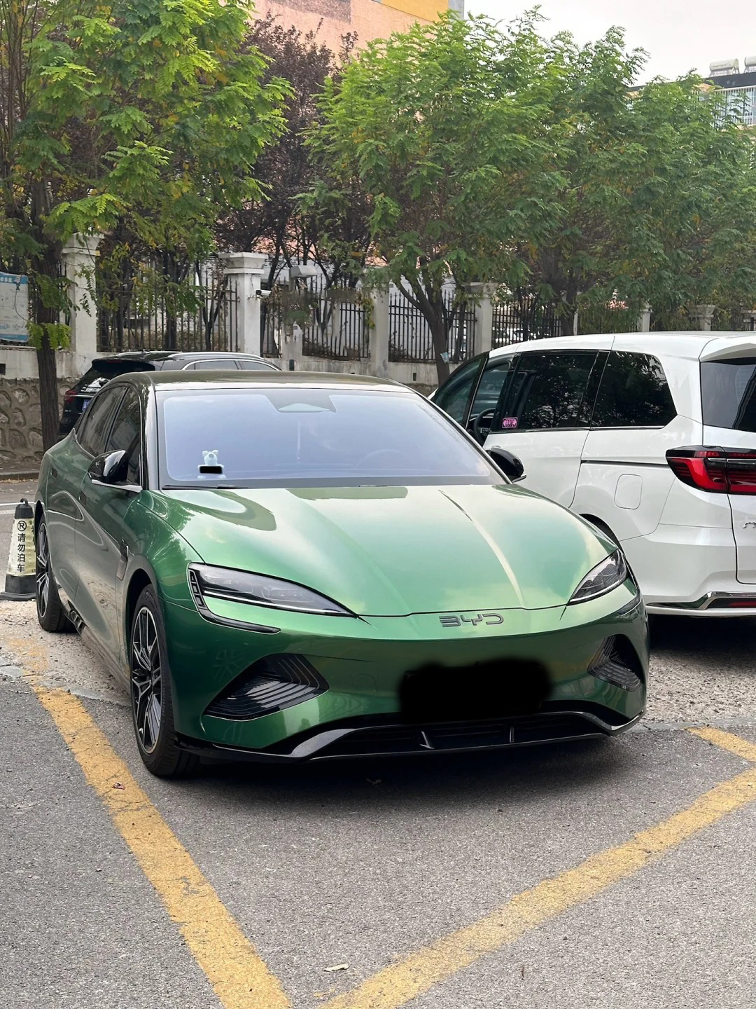 Ravoony Basic Metal Sonoma Green Car Vinyl Wrap review 0