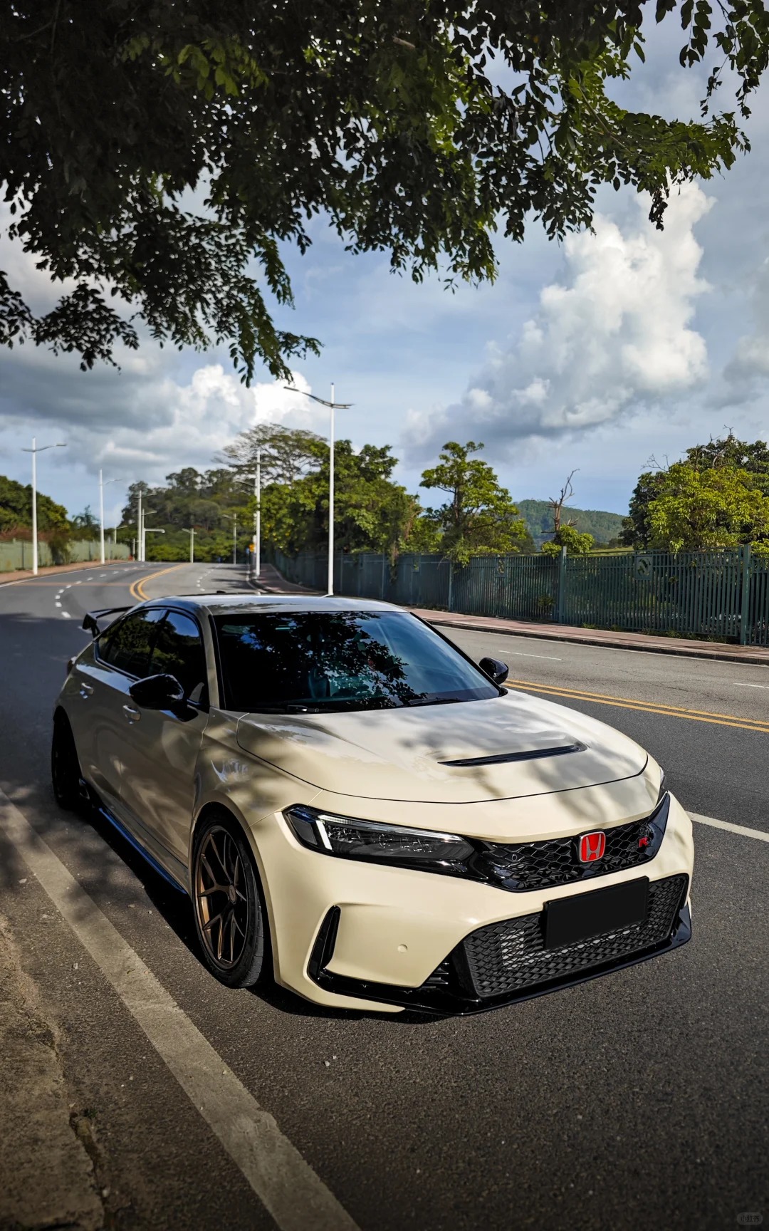 Ravoony Plus Cooper S Gloss Pepper White Vinyl Car Wrap review Lily Reed