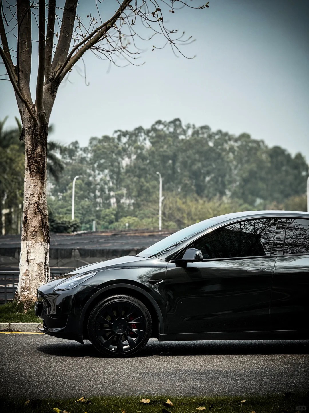  Ravoony Plus Porsche Gloss Volcano Grey Car Vinyl Wrap review Liam Torres