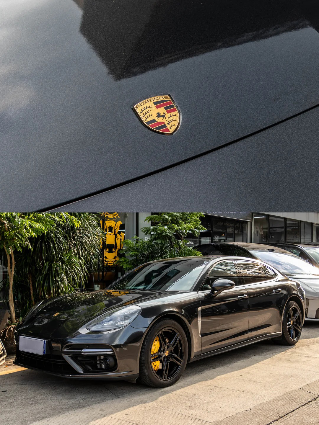  Ravoony Plus Porsche Gloss Volcano Grey Car Vinyl Wrap review Mia Rivera 00