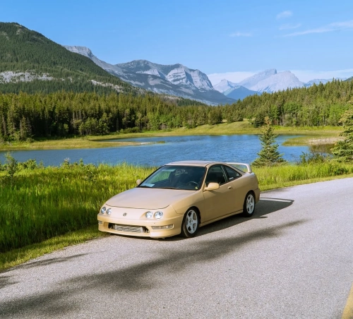Ravoony Plus PET Glossy Sunbath Yellow Car Wrap review 
