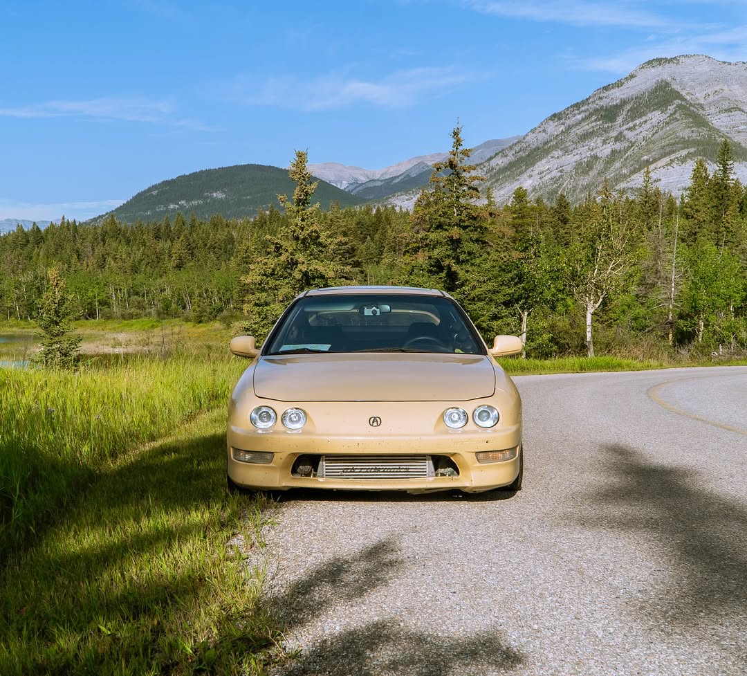 Ravoony Plus PET Glossy Sunbath Yellow Car Wrap review 3