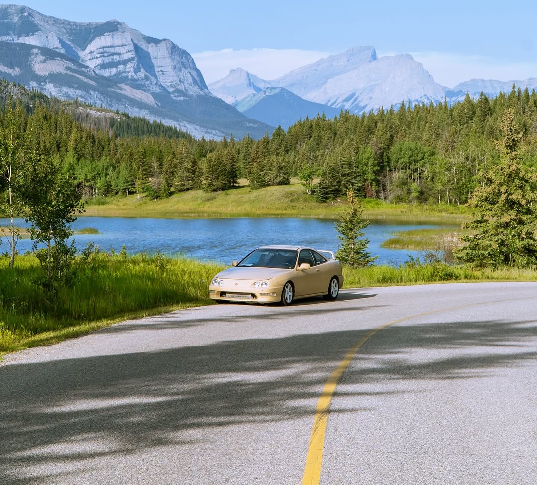 Ravoony Plus PET Glossy Sunbath Yellow Car Wrap review 2