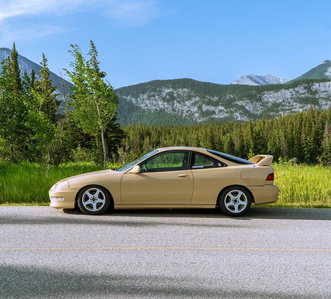 Ravoony Plus PET Glossy Sunbath Yellow Car Wrap review 4