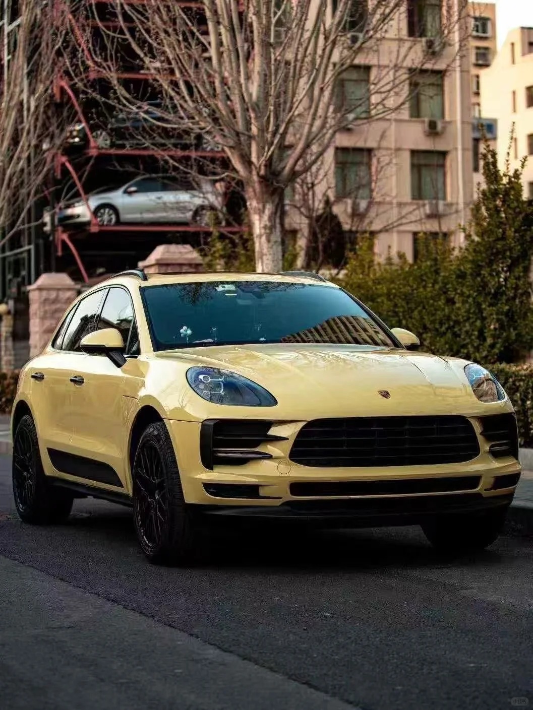 Ravoony Plus PET Glossy Sunbath Yellow Car Wrap review 0