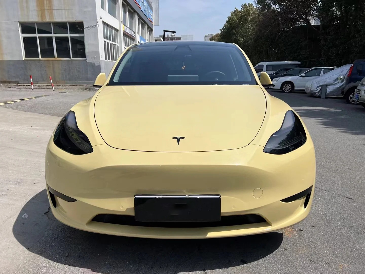 Ravoony Plus PET Glossy Sunbath Yellow Car Wrap review 1