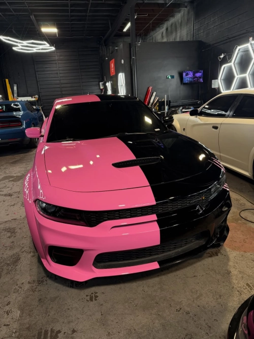 Ravoony Plus PET Glossy Princess Pink Vinyl Car Wrap  review 