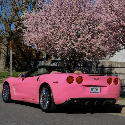 Ravoony Plus PET Glossy Princess Pink Vinyl Car Wrap  review 