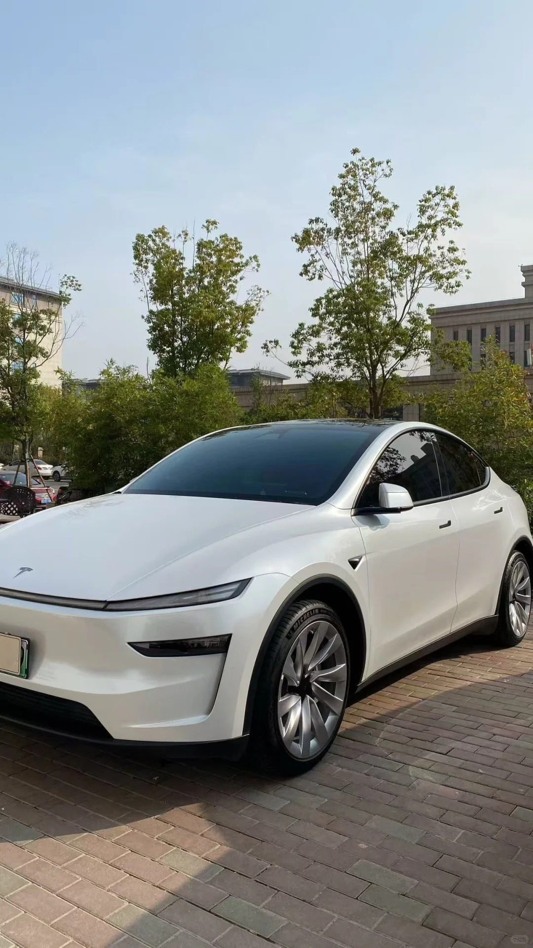 Ravoony Plus PET Gloss Shell White Car Wrap review rpsie xie 00