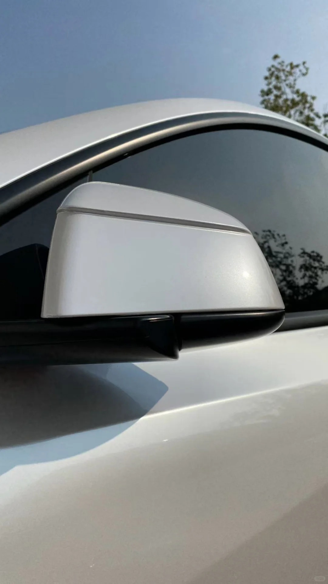 Ravoony Plus PET Gloss Shell White Car Wrap review rpsie xie 01