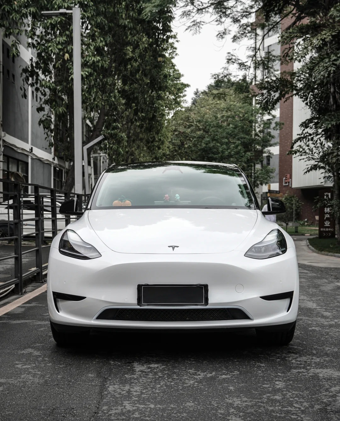 Ravoony Plus PET Gloss Shell White Car Wrap review Ashley R 01