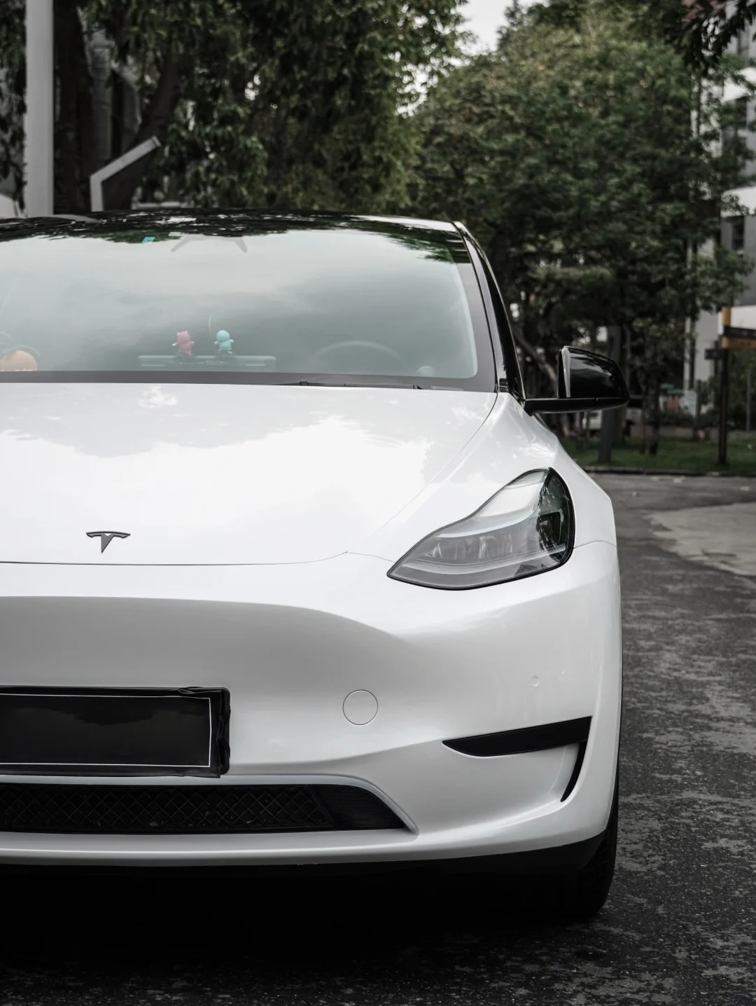 Ravoony Plus PET Gloss Shell White Car Wrap review Ashley R 02