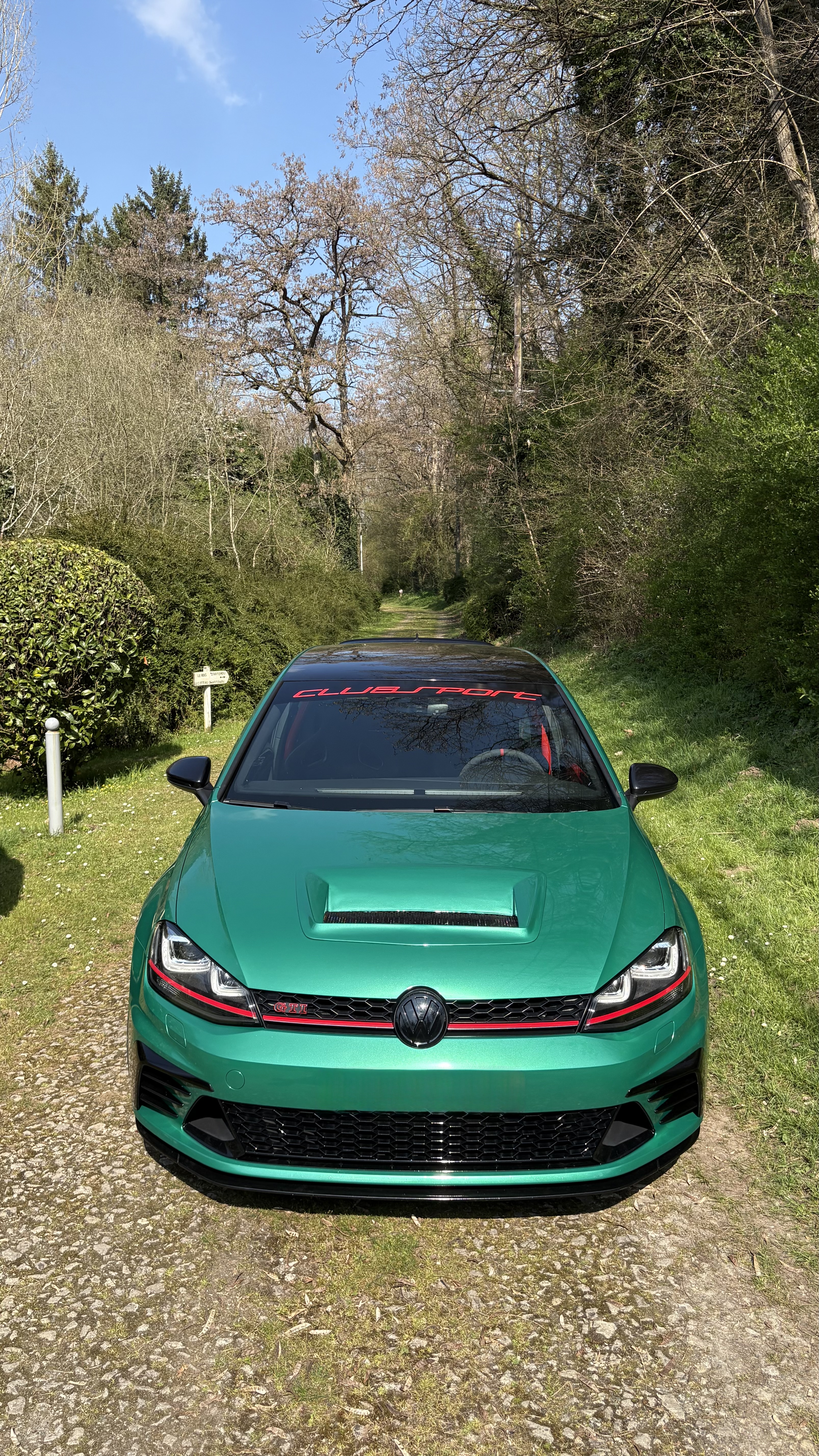 Ravoony Plus Gloss Paint Metallic Isle Of Man Green Car Vinyl Wrap review 5