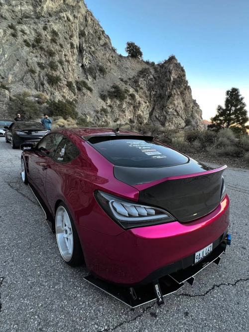 Ravoony Plus PET Glossy Metallic Rubellite Purple Vinyl Wrap review 