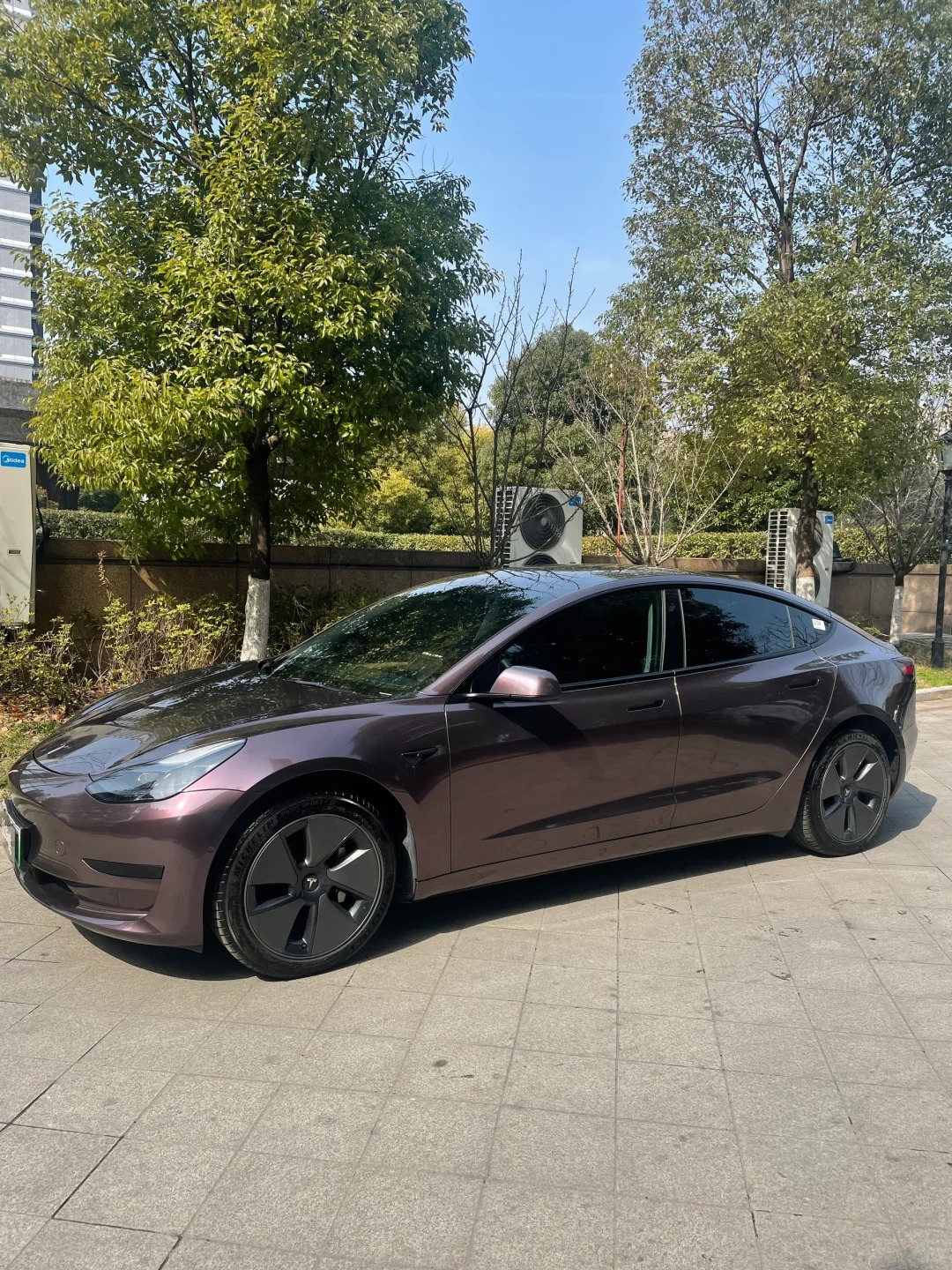 Ravoony Plus PET Gloss Metallic Eve Purple Car Vinyl Wrap review 0