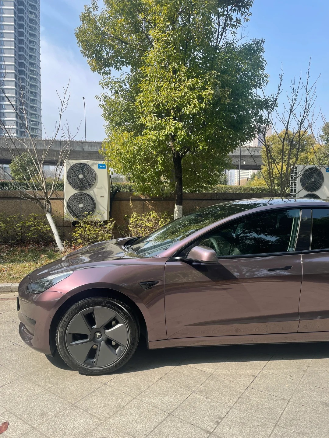 Ravoony Plus PET Gloss Metallic Eve Purple Car Vinyl Wrap review 2