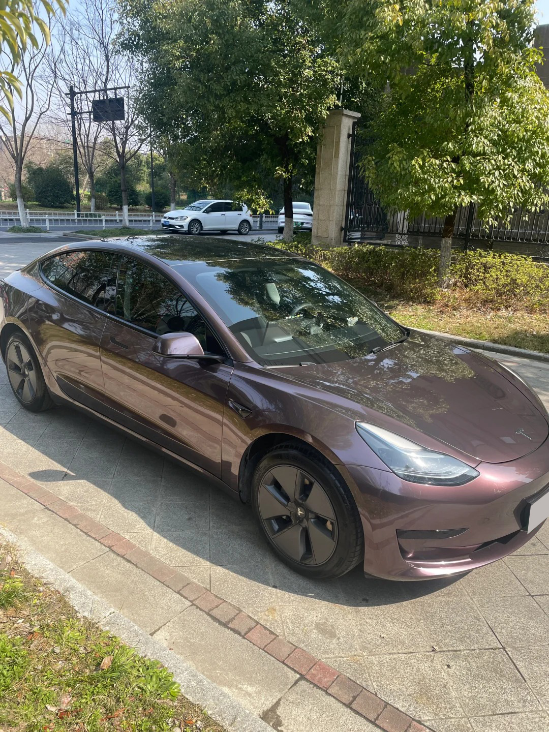 Ravoony Plus PET Gloss Metallic Eve Purple Car Vinyl Wrap review 1