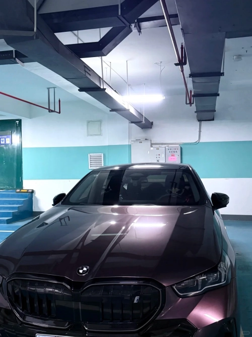 Ravoony Plus PET Gloss Metallic Eve Purple Car Vinyl Wrap review 